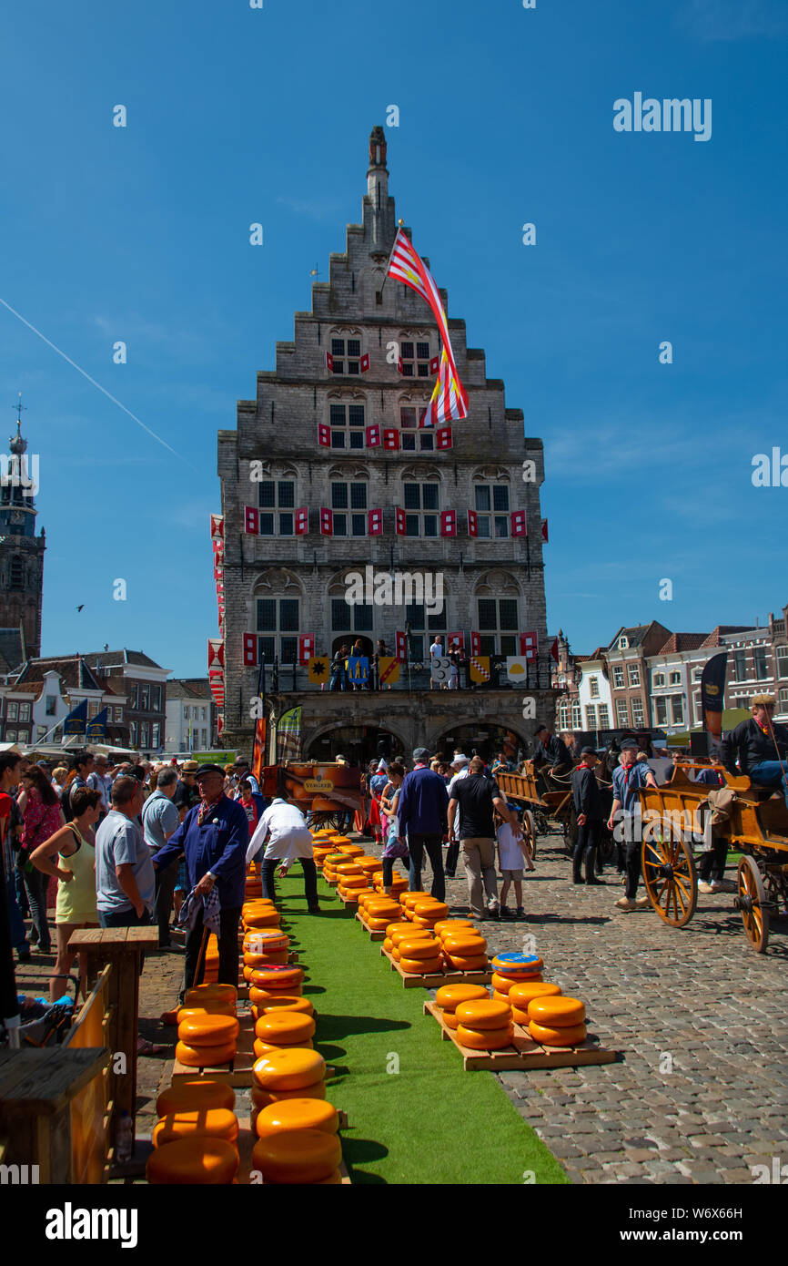 Dutch Cheese market  at the City of Alkmaar  in the Netherlands Stock Photo