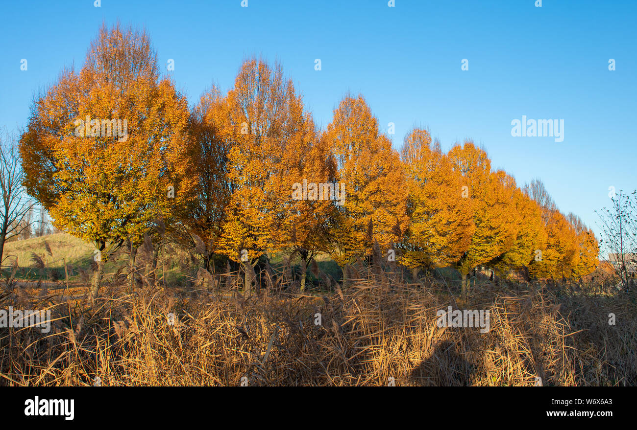 Herbst Stock Photo