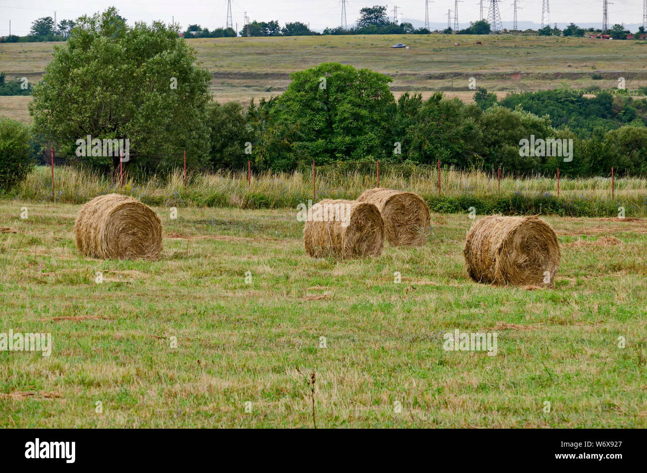 Bale Mountain Hi Res Stock Photography And Images Alamy
