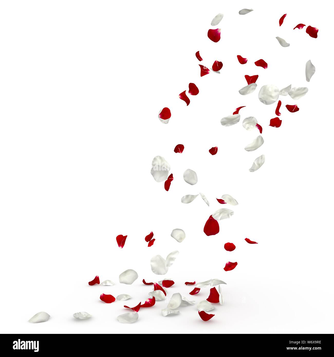 Real pink rose petals falling hi-res stock photography and images - Alamy