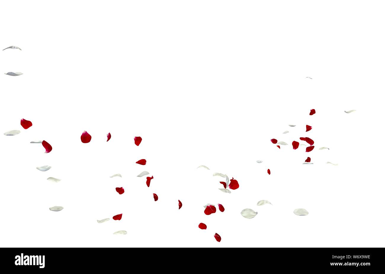 Real pink rose petals falling hi-res stock photography and images - Alamy