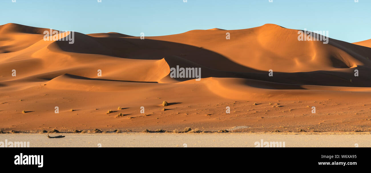 Beautiful sand dunes at Sossusvlei, Namibia. Stock Photo