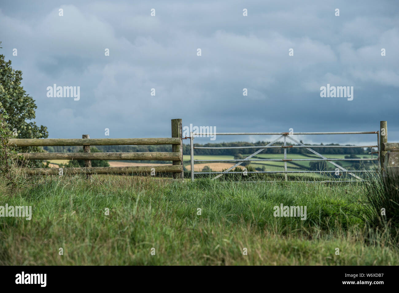 closed gate and a field Stock Photo