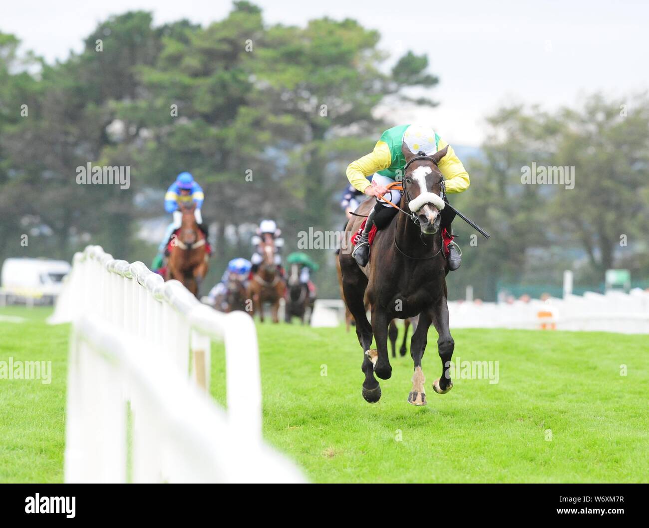 Mr Everest and Davy Russell win the O'Leary Insurances Maiden Hurdle during day six of the 2019 Summer Festival at Galway Racecourse. Stock Photo