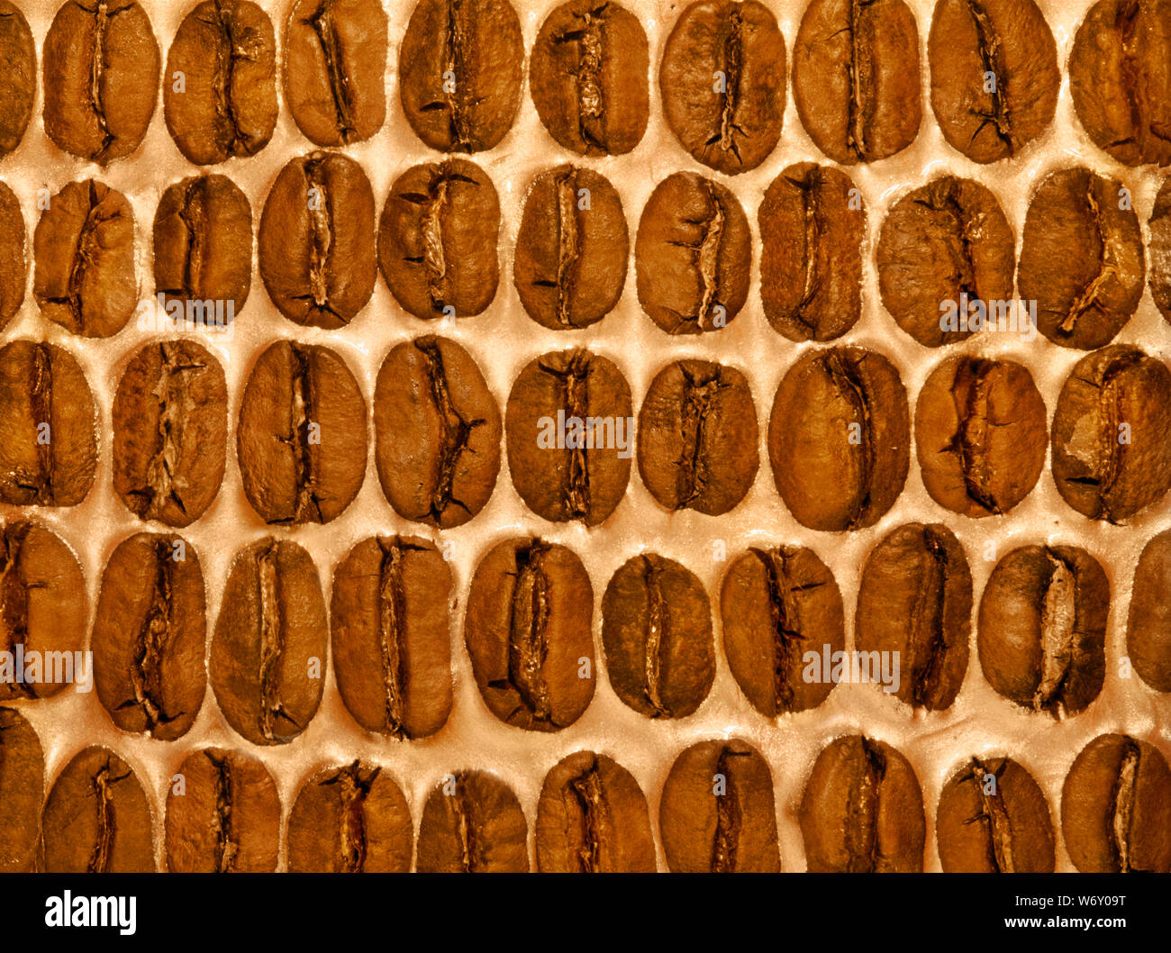 Coffee beans on based cream for background or template. Top view. Stock Photo