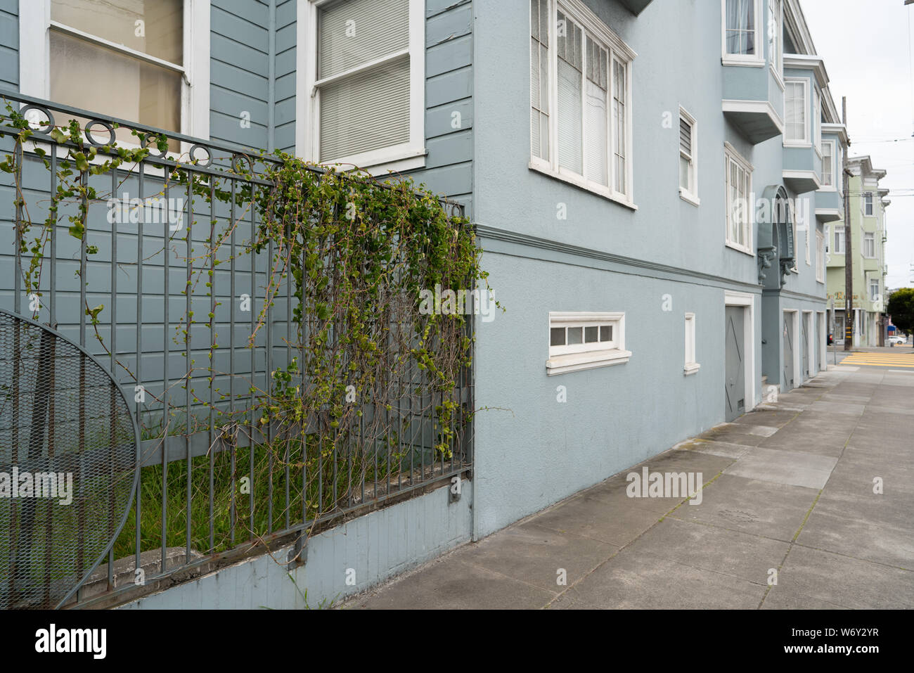 Vine covered fence hi-res stock photography and images - Alamy