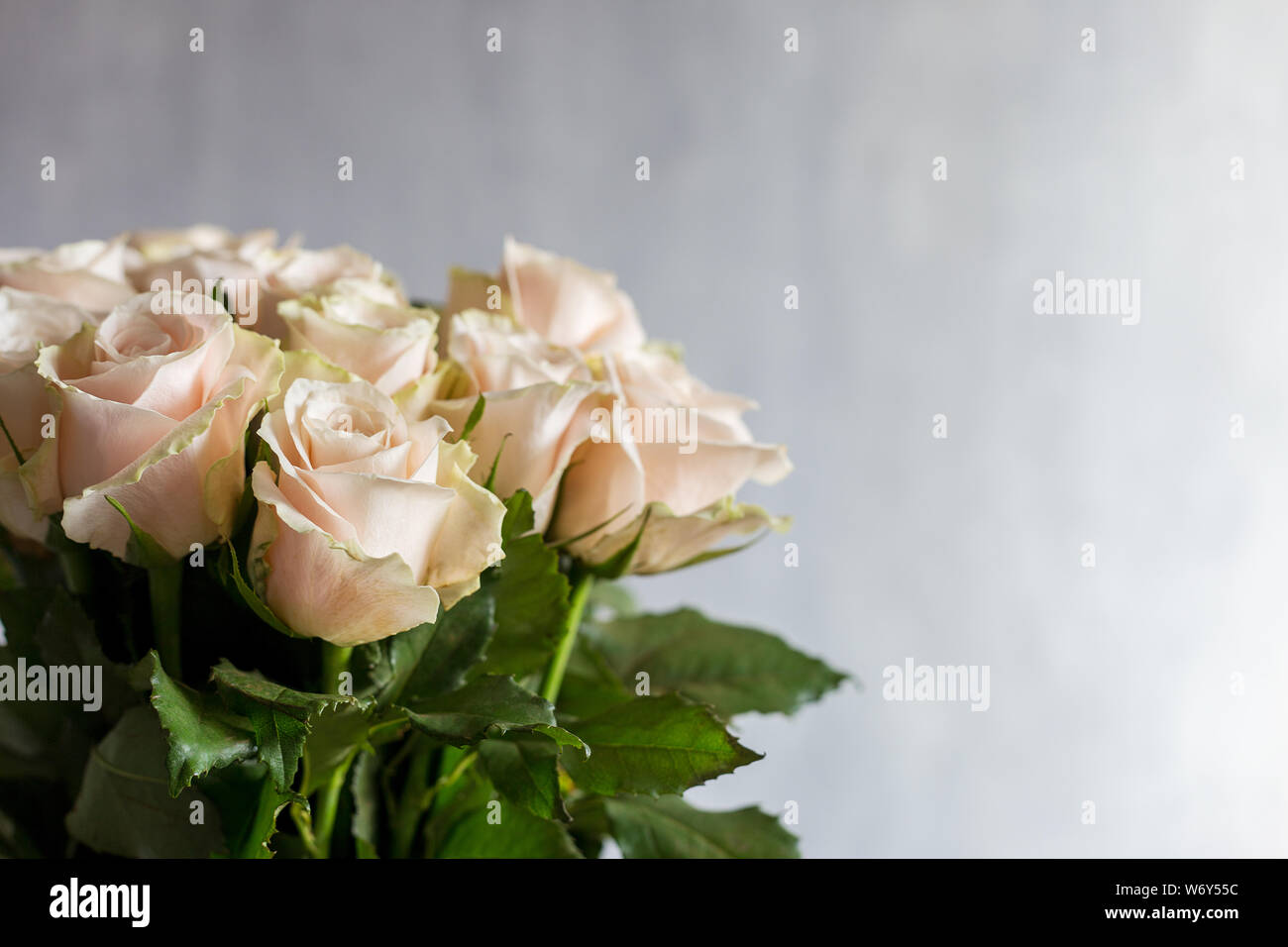 Greeting card with white roses on gray background. Concept of free space background Stock Photo
