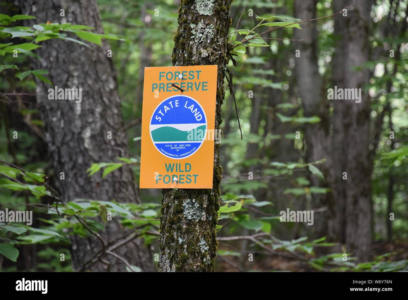 Spruce Mountain in the Adirondack Mountains, Upstate, New York Stock