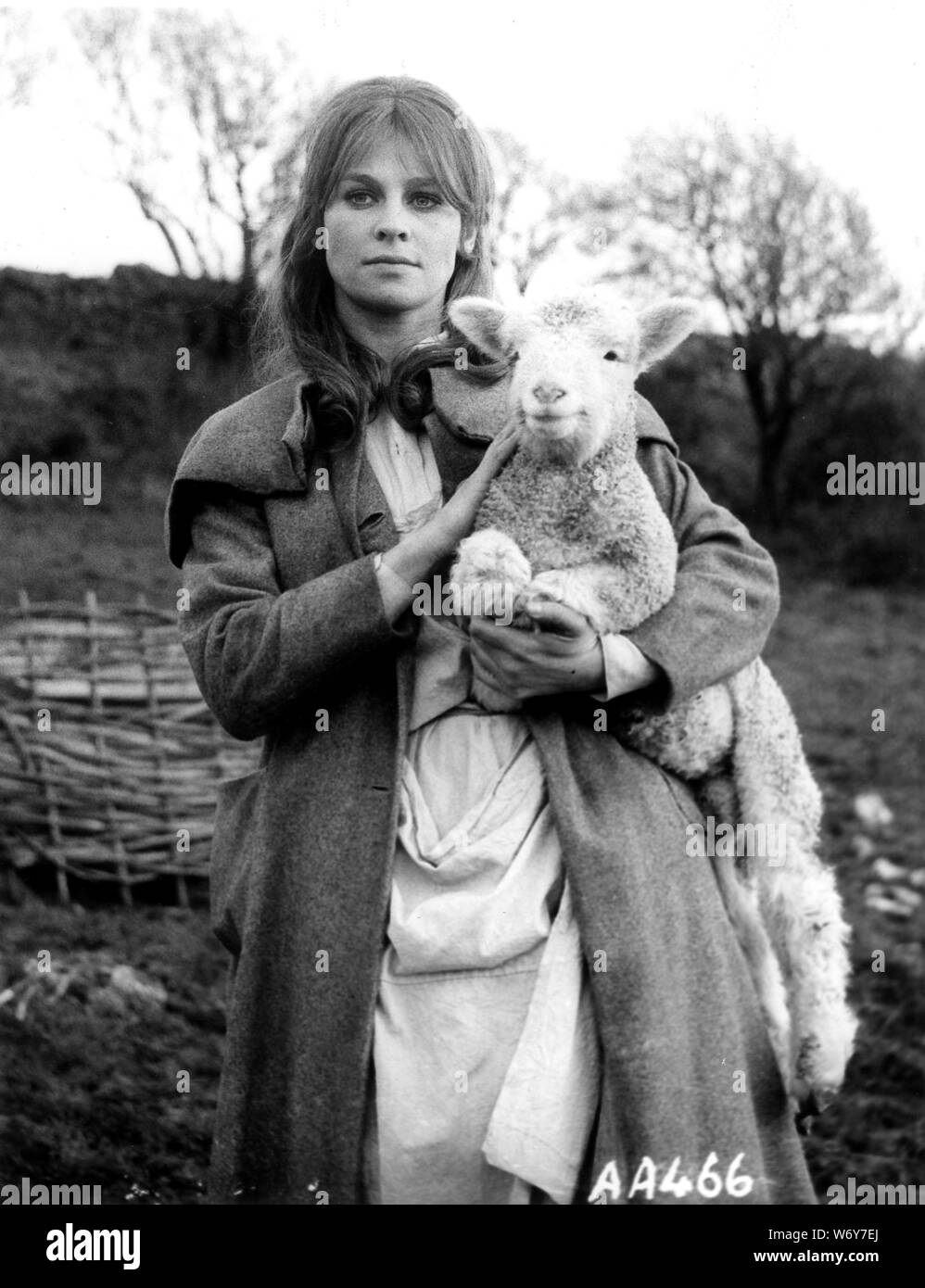 JULIE CHRISTIE In FAR FROM THE MADDING CROWD 1967 Directed By JOHN Julie christie in far from the madding crowd 1967 directed by john
