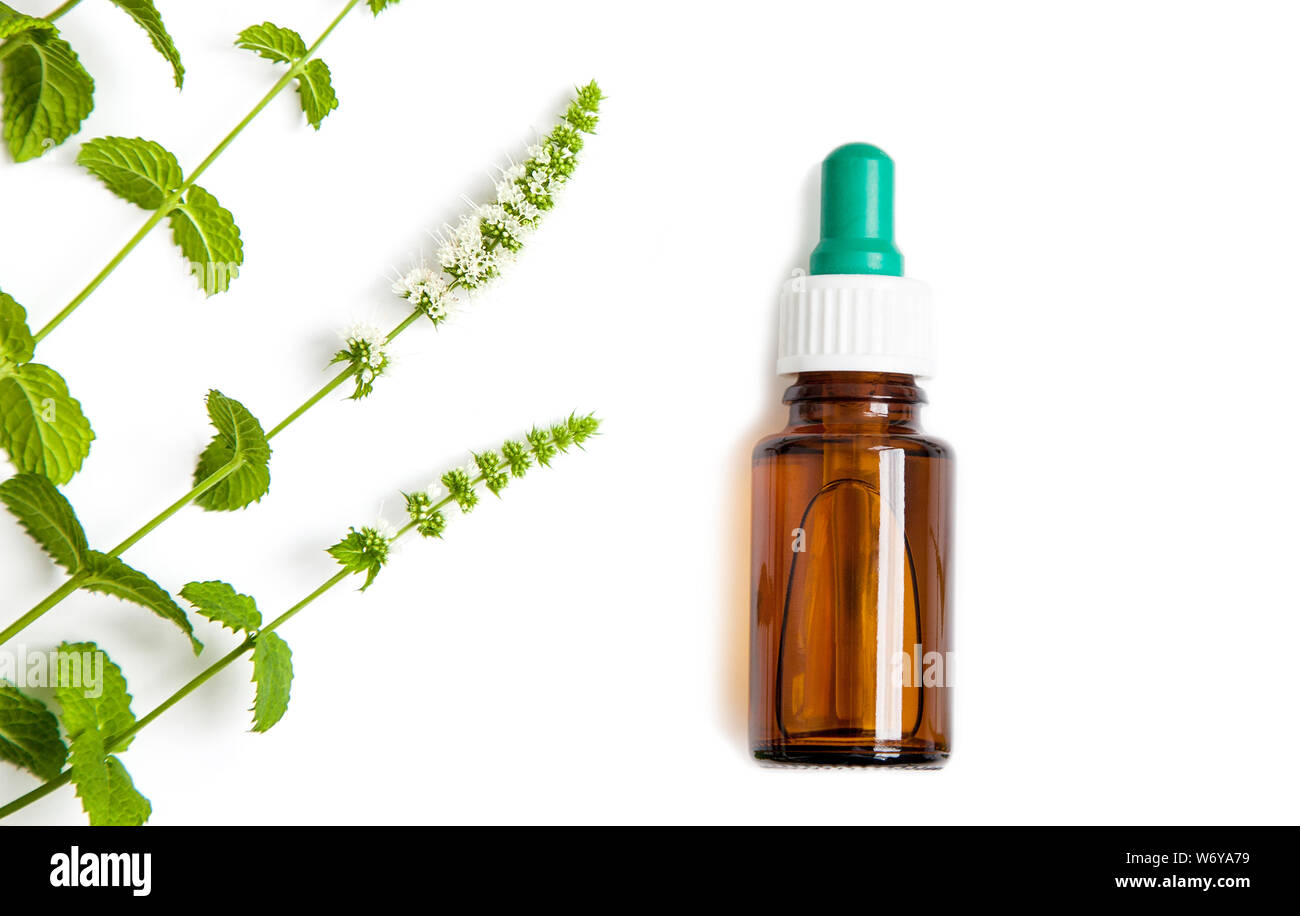 one Bottle of herbal medicine dropper with green mint branches on white background and copy space. Stock Photo