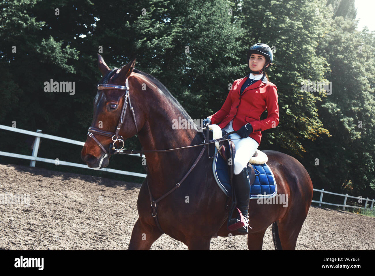 Young pretty jockey girl preparing horse for ride. love horses Stock