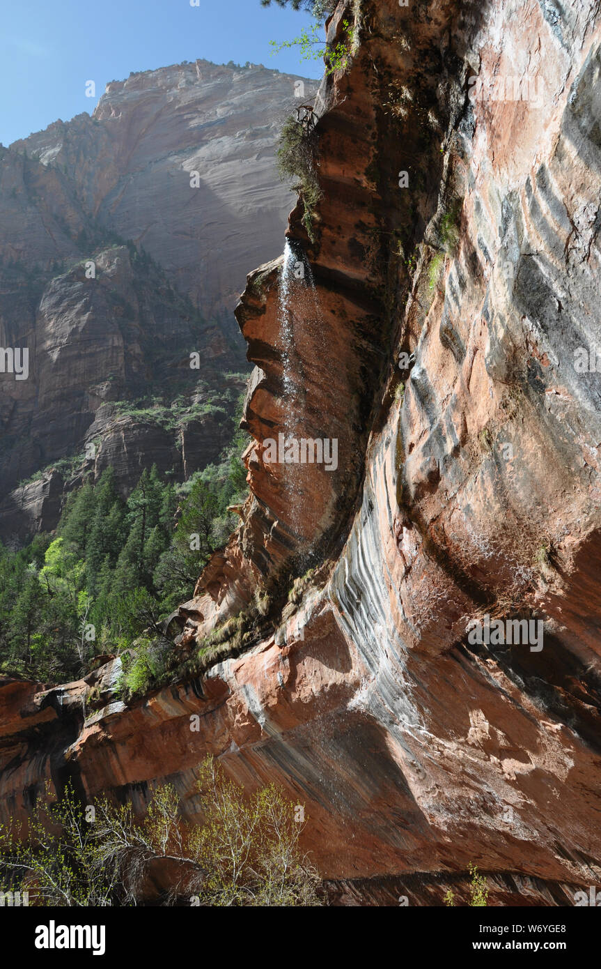zion canyon nationalpark utah Stock Photo
