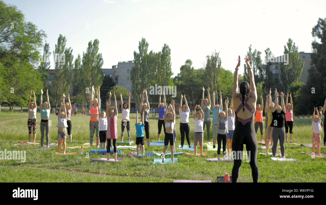 A large group of children engaged in yoga in the Park sitting on the ...