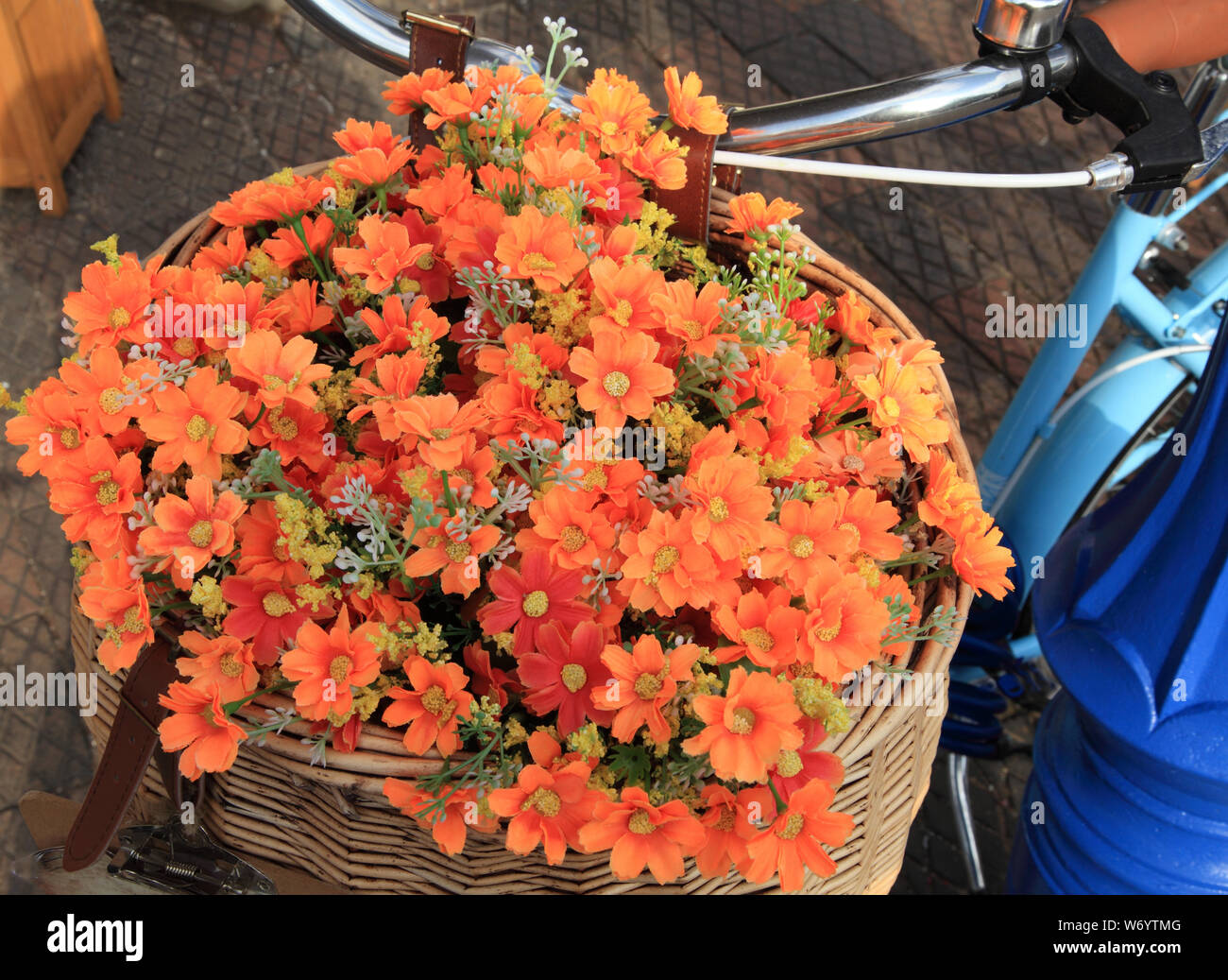 Plant Container, on bicycle, unusual, front basket, cycle, orange and yellow flowers, plants, containers Stock Photo