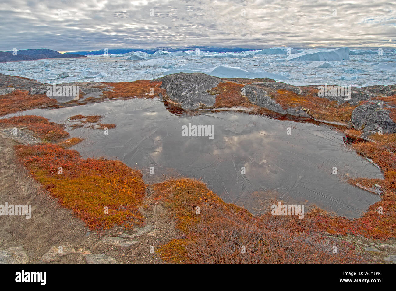 Frozen Pond,  Reflections, and Ice in the Fall in the Arctic by the Icefjord of Ilulissat, Greenland Stock Photo