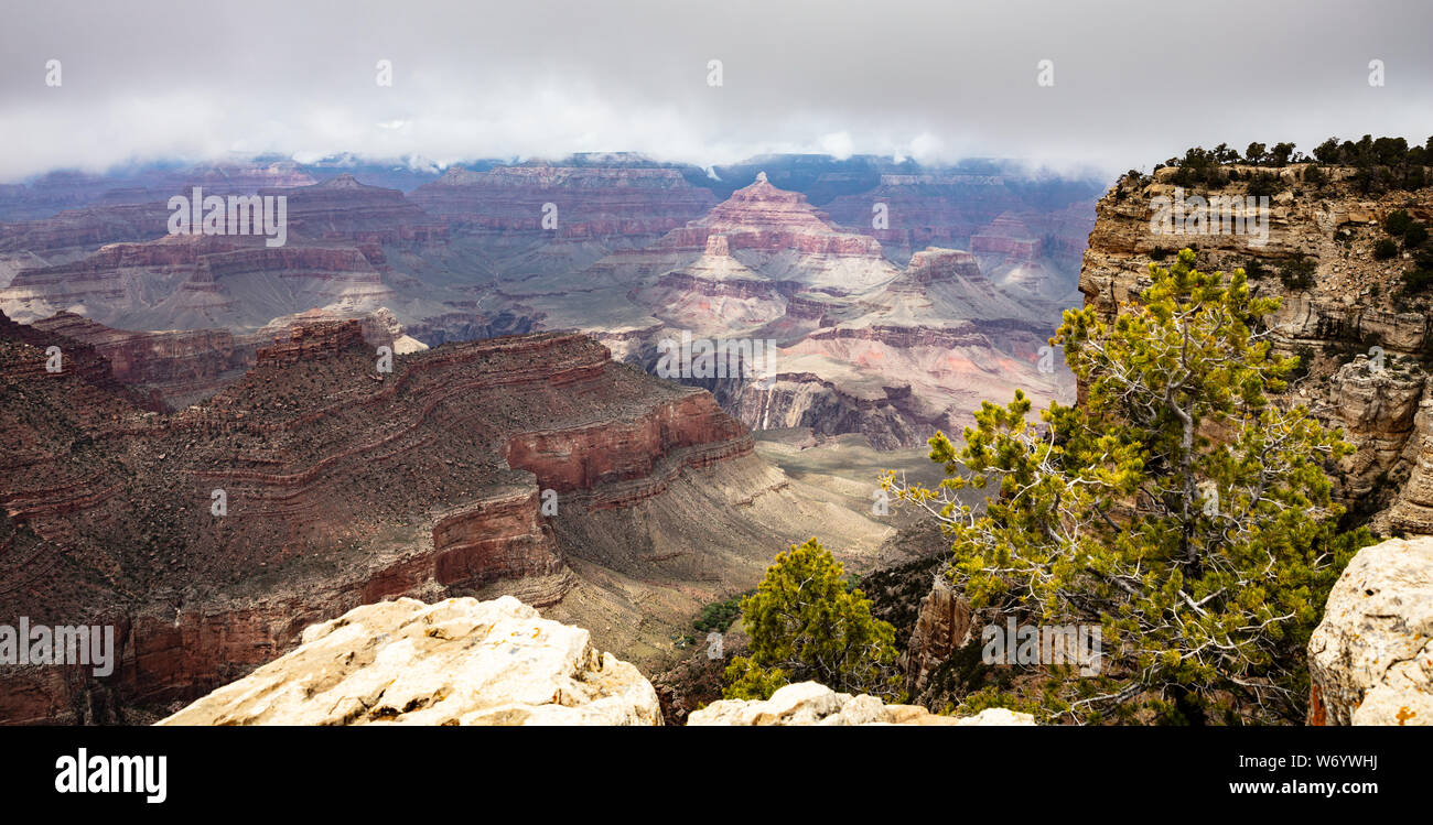 Grand Canyon National park, Arizona, United States. Panoramic overlook of the red rocks, pine trees and cloudy sky background Stock Photo