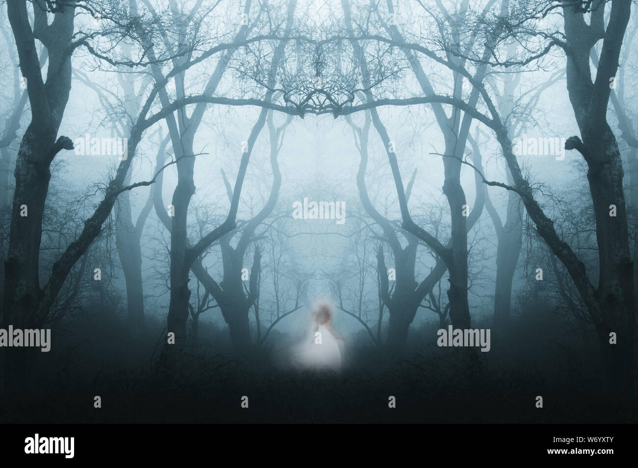 A mirrored, duplicate effect of a spooky, eerie forest in winter, with the trees silhouetted by fog. With a ghostly woman in white. Stock Photo