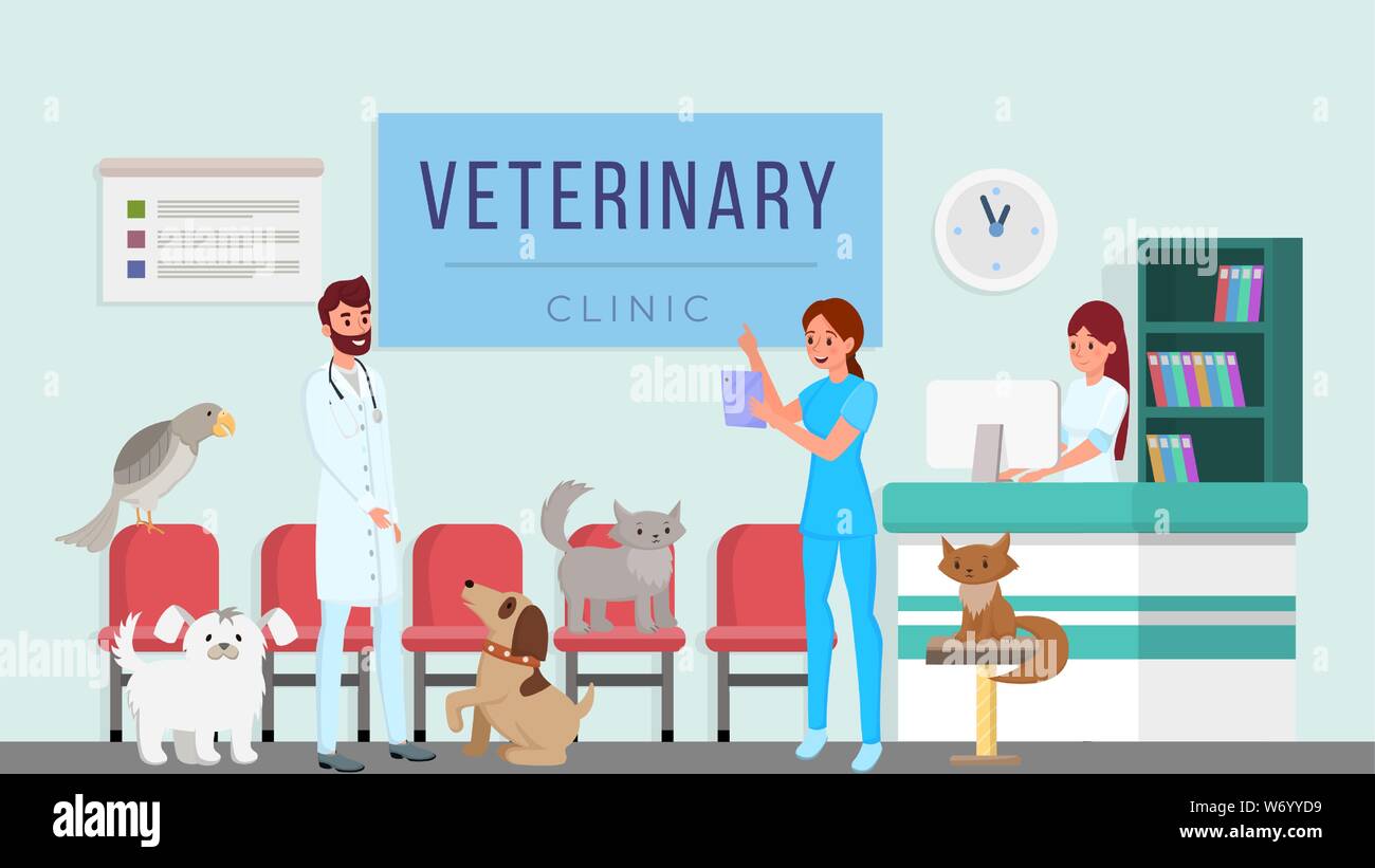 Veterinary clinic workers vector illustration. Vets, professional veterinarians checking domestic animals, pets health cartoon characters. Doctors assistant, hospital receptionist scheduling patients Stock Vector