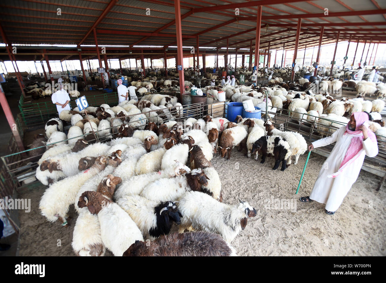 Kuwait City, Kuwait. 3rd Aug, 2019. People buy sheep at a market in Al ...