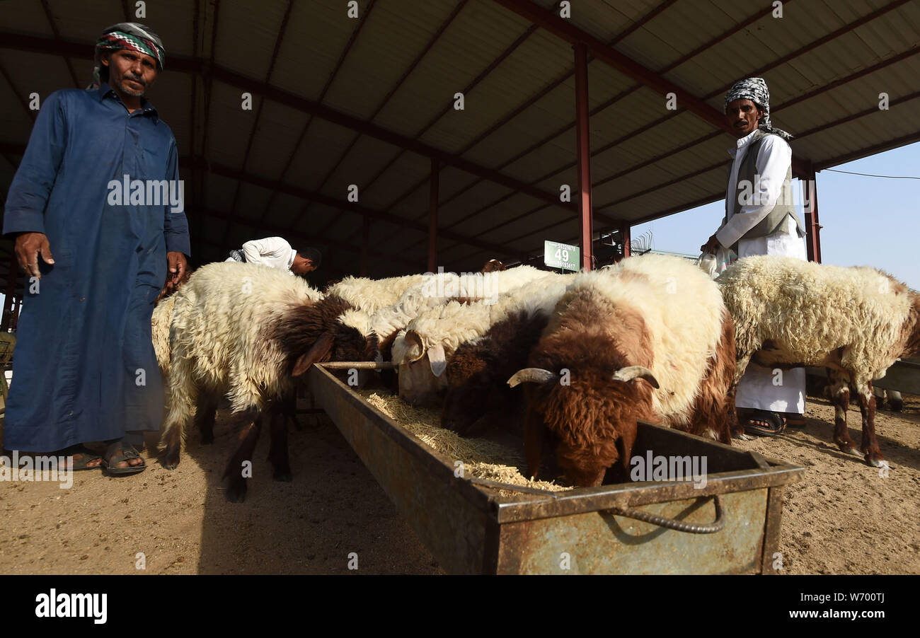 Kuwait City, Kuwait. 3rd Aug, 2019. Sellers feed their sheep at a ...