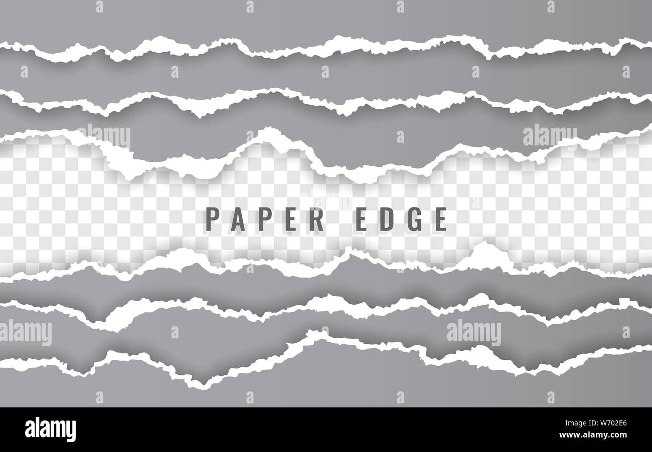 Torn paper edge. Ripped squared paper strips. Vector illustration. Stock Vector