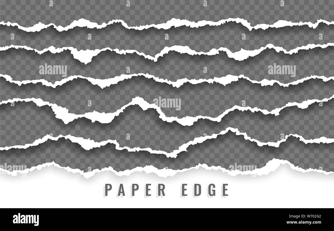 Torn paper edge. Ripped squared paper strips. Vector illustration. Stock Vector