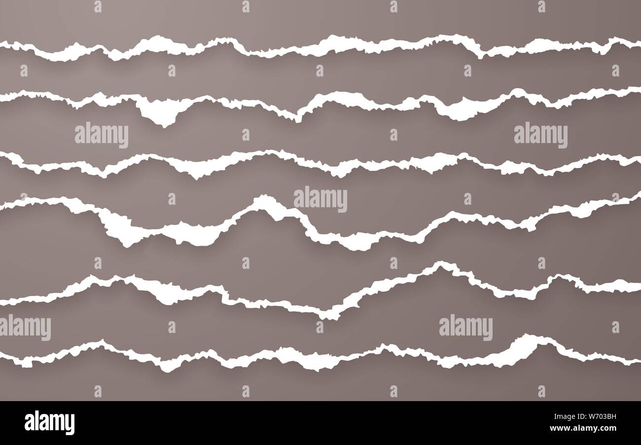 Torn paper edge. Ripped squared paper strips. Vector illustration. Stock Vector