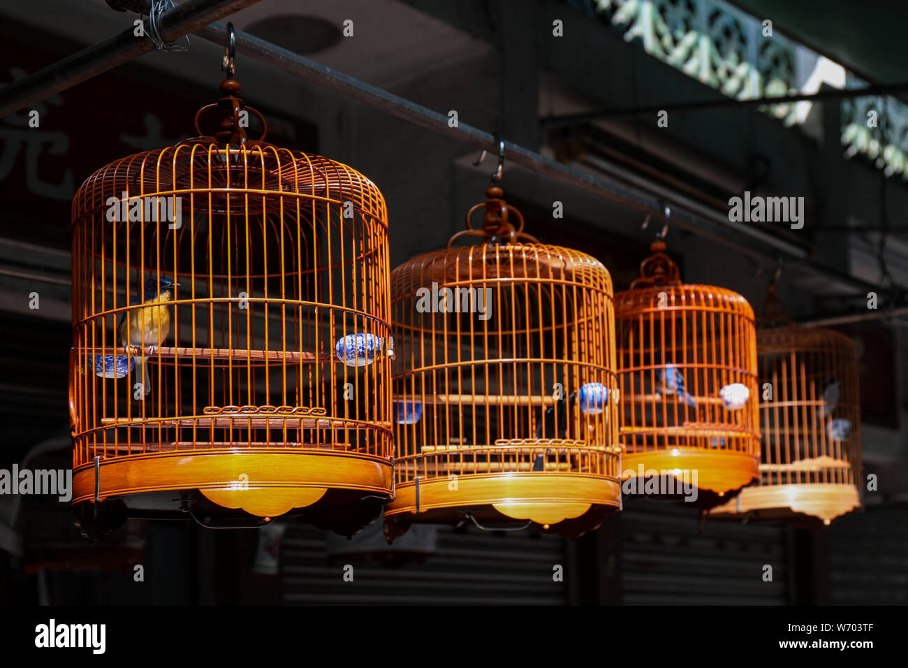 Bamboo bird cages at Yuen Po Street Bird Garden in Mong Kok, Hong Kong Stock Photo