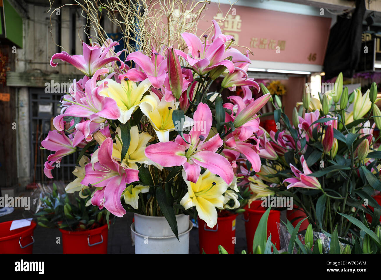 Cut lilies in a bucket sold in Mong Kok Flower Market, Hong Kong Stock Photo