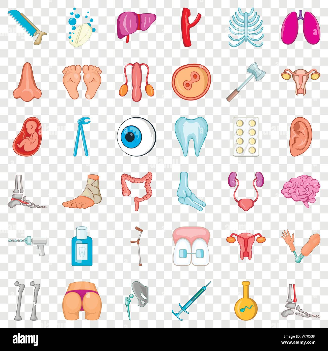 Internal organ icons set, cartoon style Stock Vector Image & Art - Alamy