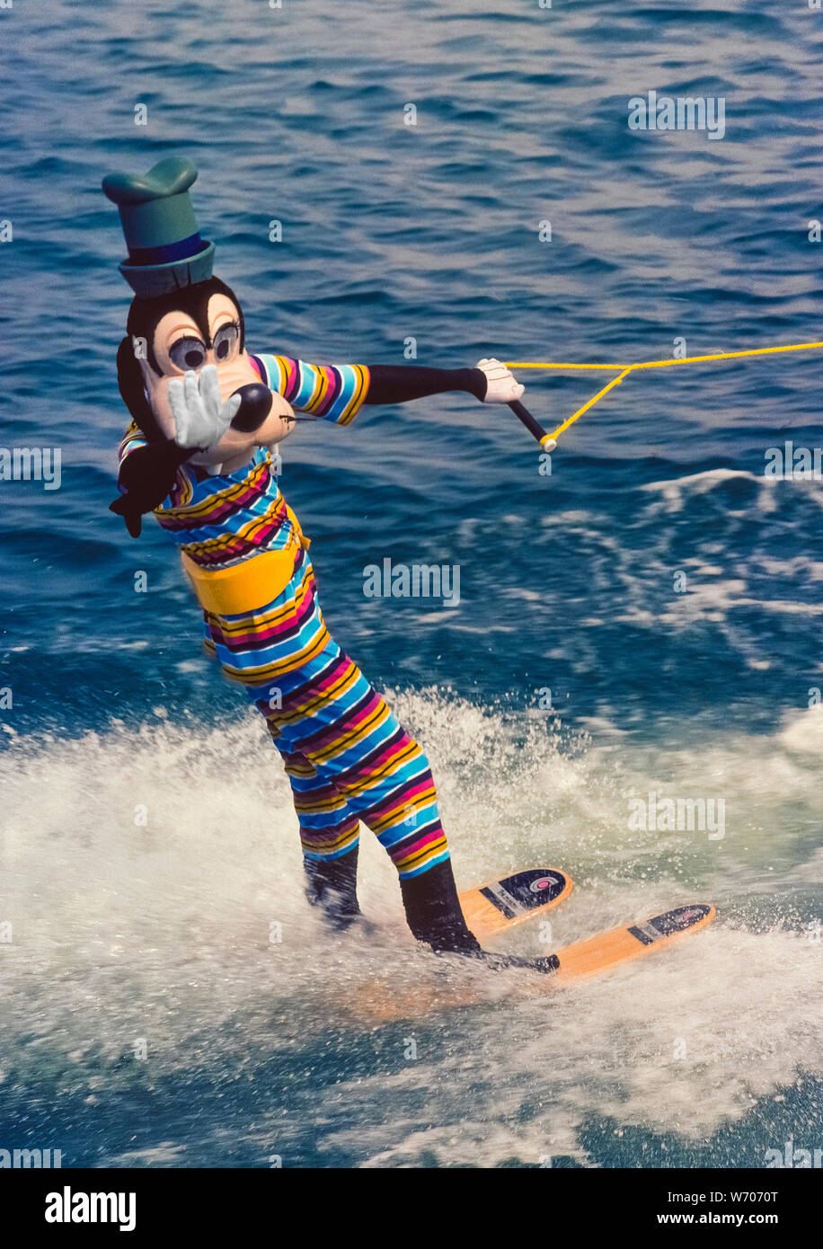 Goofy, one of Walt Disney's best known animal cartoon characters, performs on water skis for visitors at Walt Disney World, the famous amusement park near Orlando, Florida, USA. Created in the 1930s for Disney's animated cartoons, Goofy is a tall, human-like dog who is a close friend of Mickey Mouse and Donald Duck. Since opening in 1971, Disney World has become an icon of American culture and is now the most popular vacation resort in the world with more than 52 million visitors annually. Stock Photo