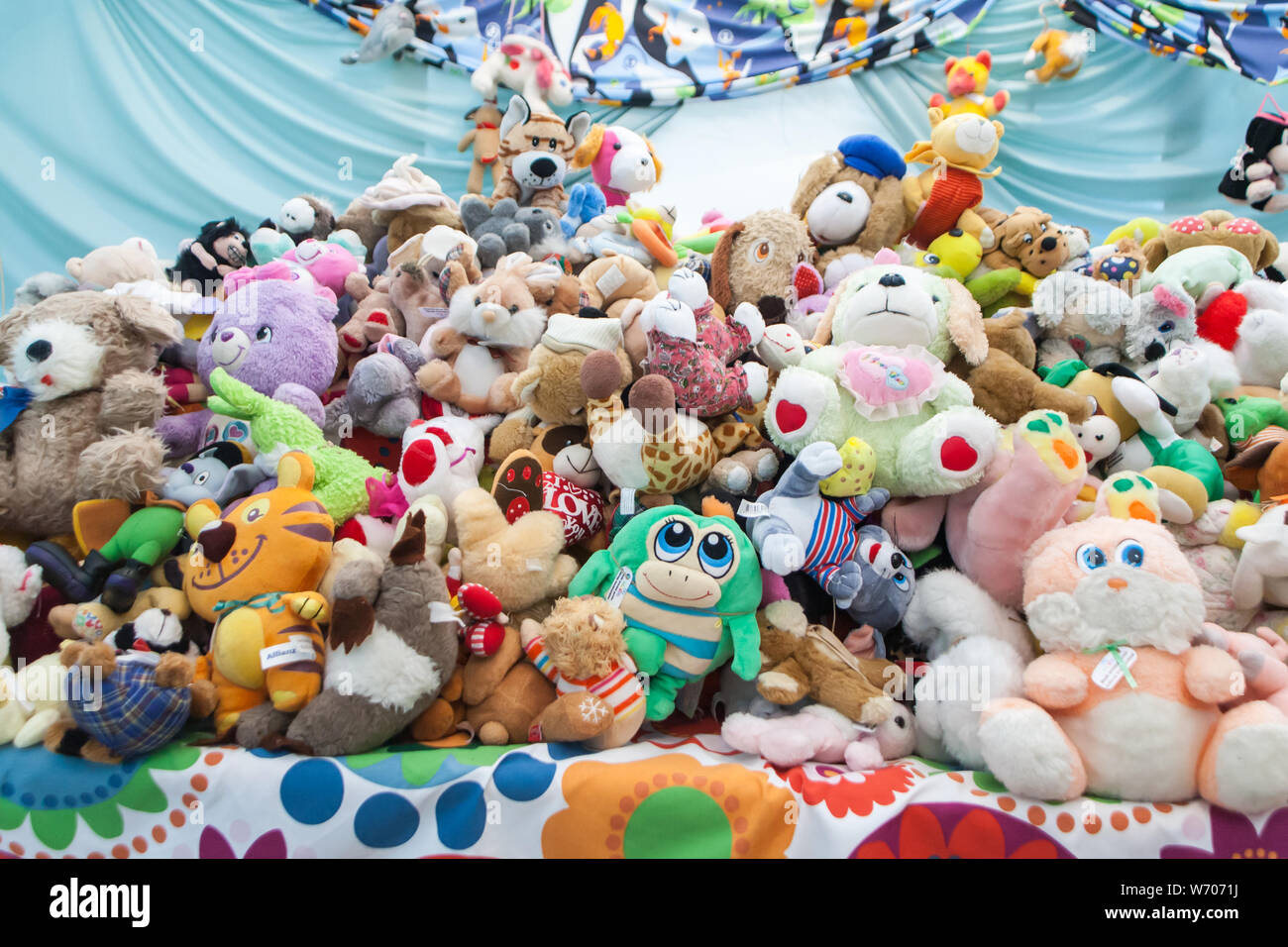 Different plush toys. Murid. Porcijunkulovo 2019 Stock Photo