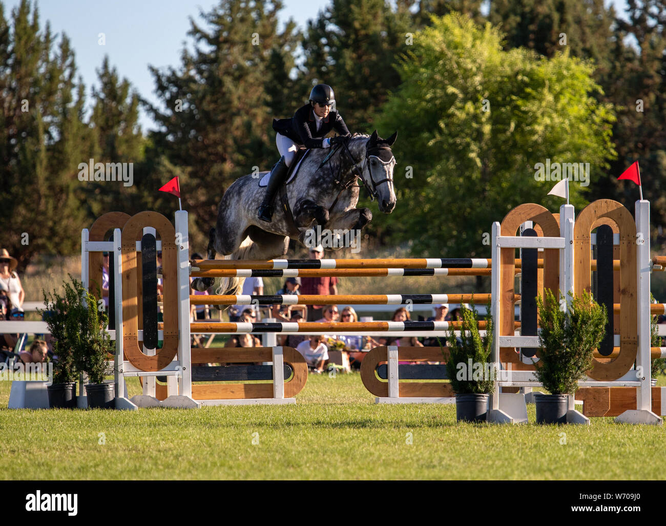 2019 High Desert Classic Horse Show Stock Photo Alamy