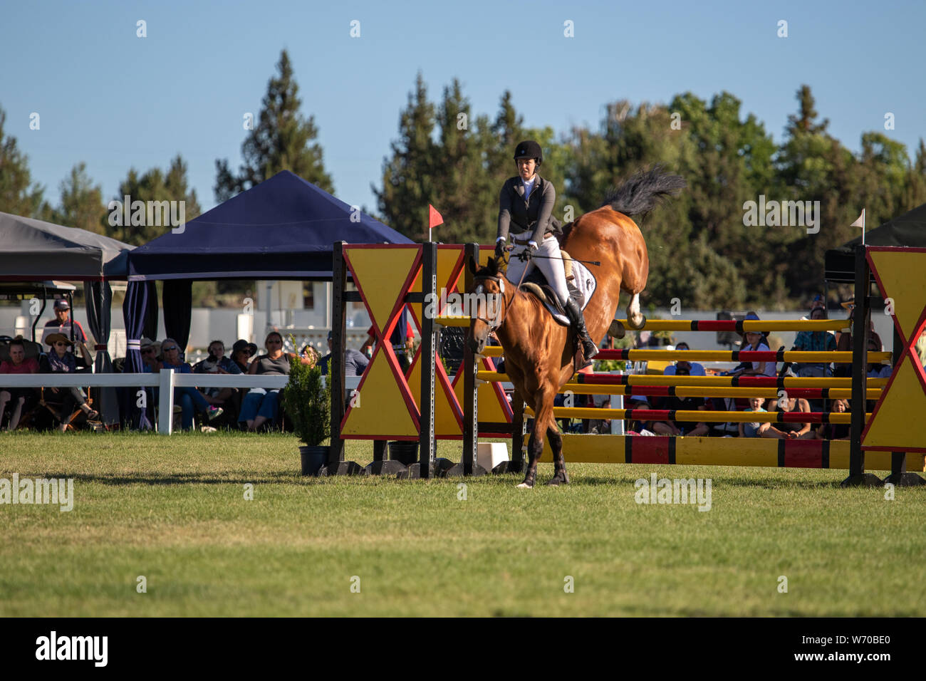 2019 High Desert Classic Horse Show Stock Photo Alamy