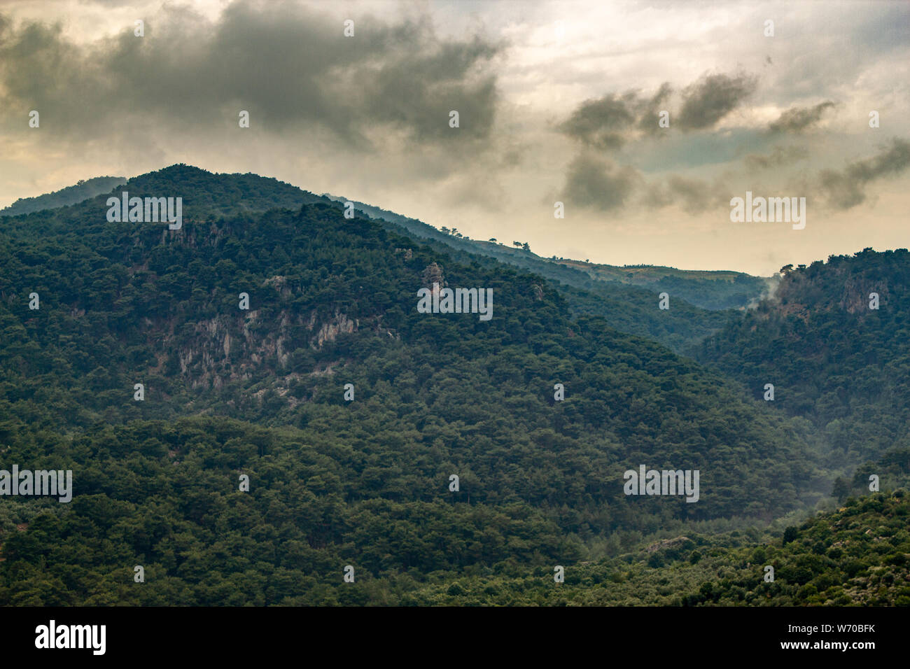 Foggy and cloudy mountainous forest landscape Stock Photo