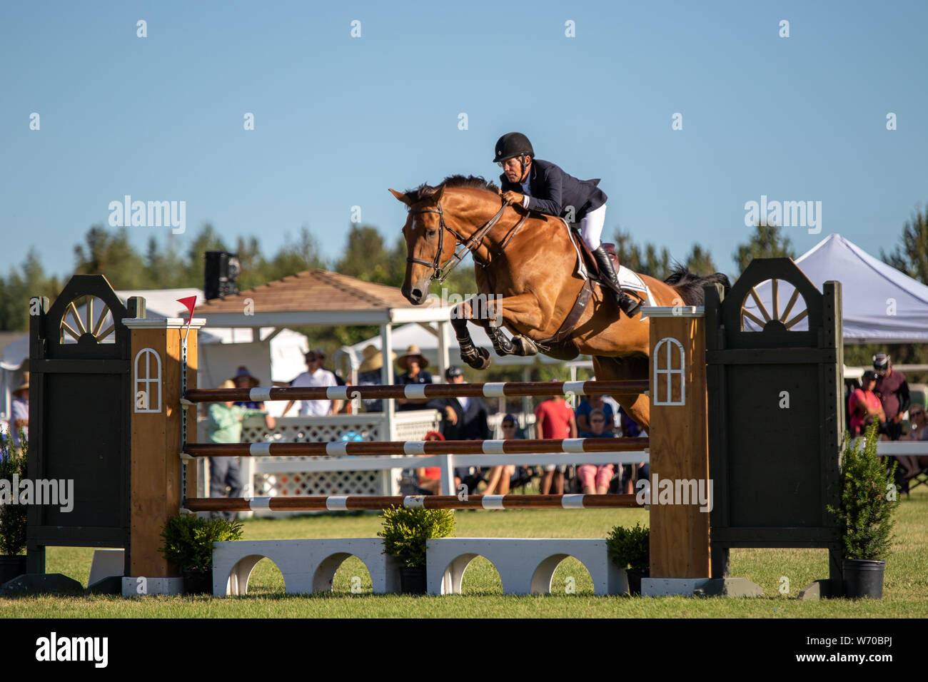 2019 High Desert Classic Horse Show Stock Photo Alamy