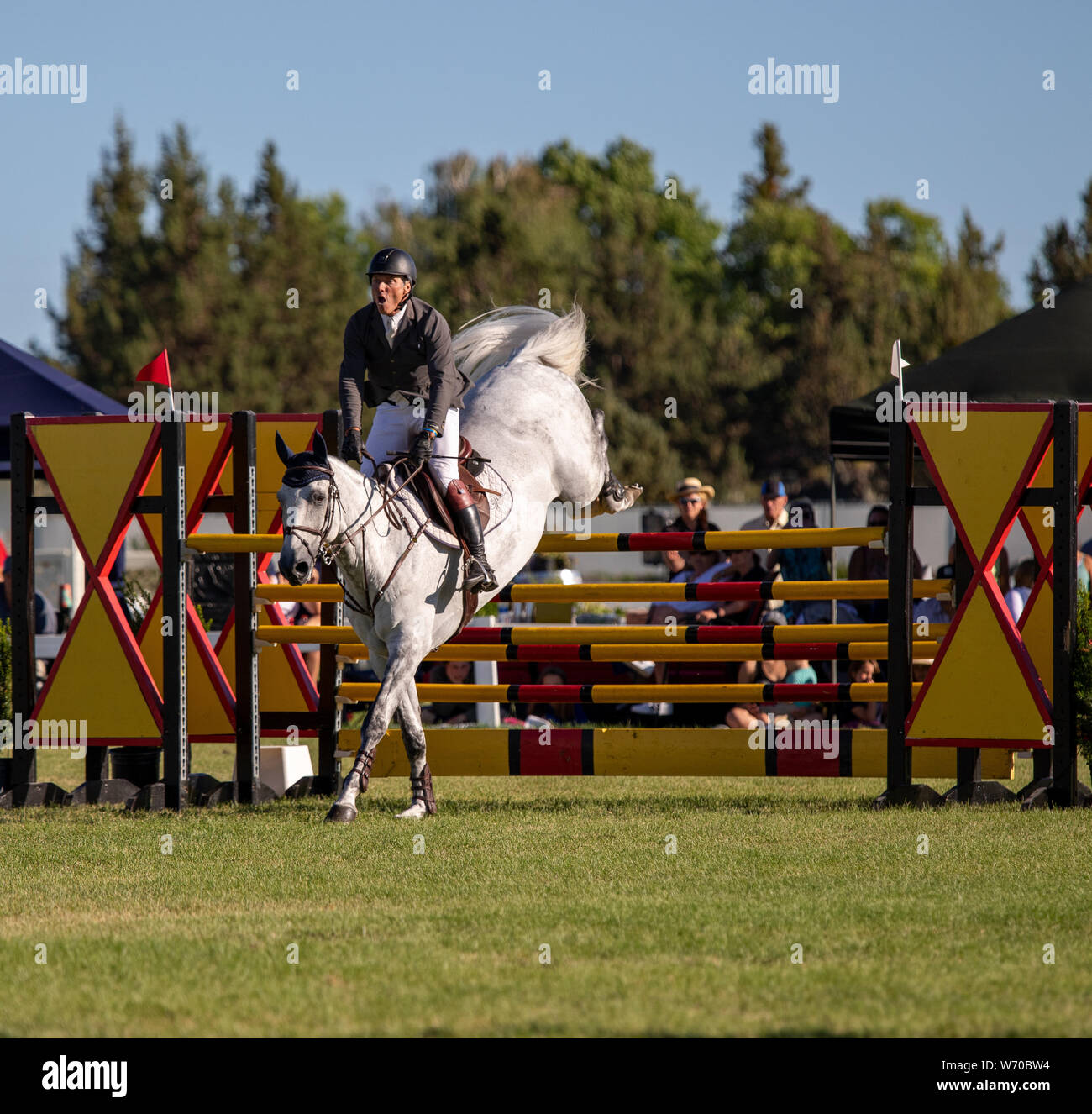 2019 High Desert Classic Horse Show Stock Photo Alamy