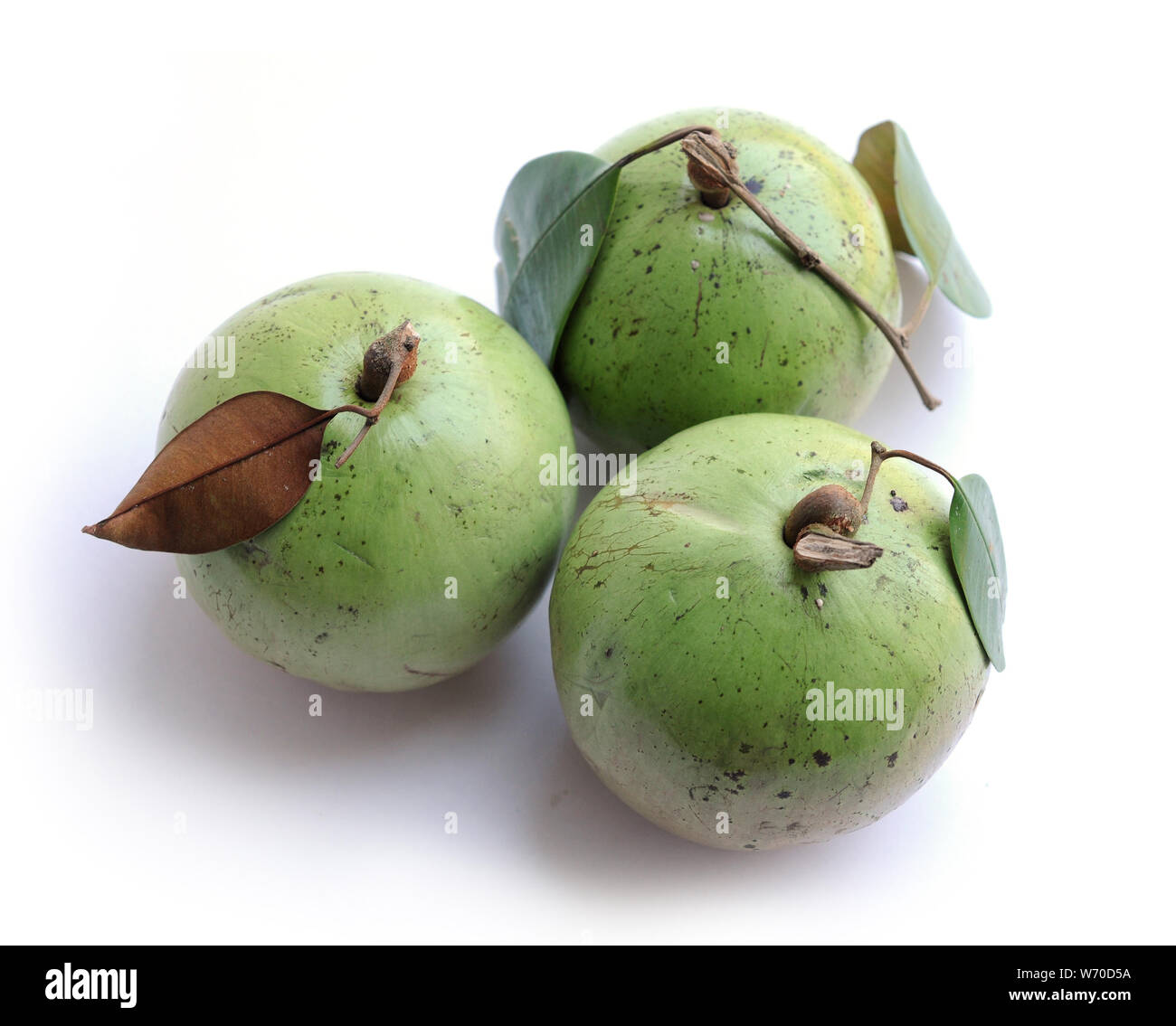 very sweet  green color star apple fruit Stock Photo