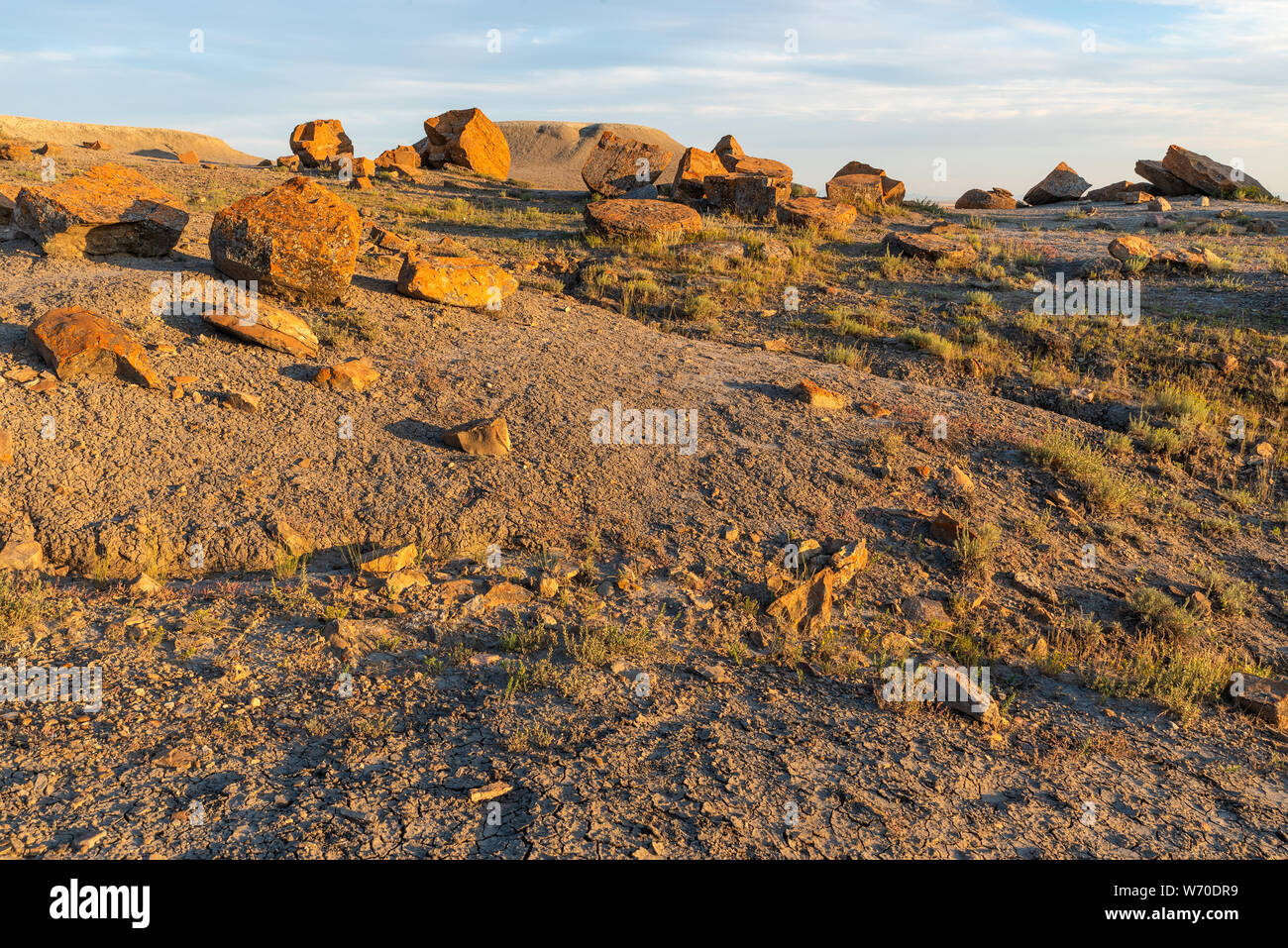 Seven persons alberta hires stock photography and images Alamy