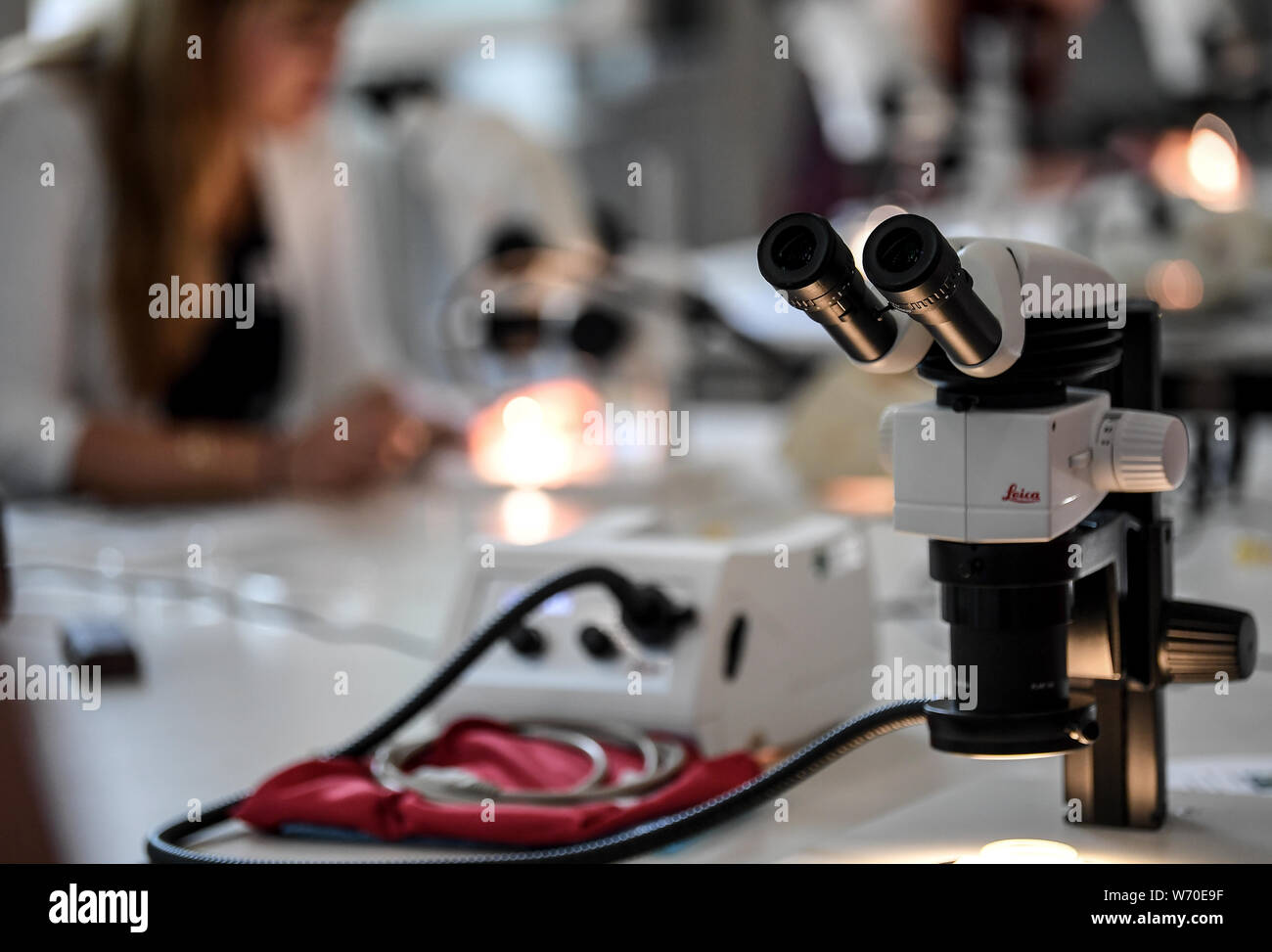 History of microscopes hi-res stock photography and images - Page 2 - Alamy