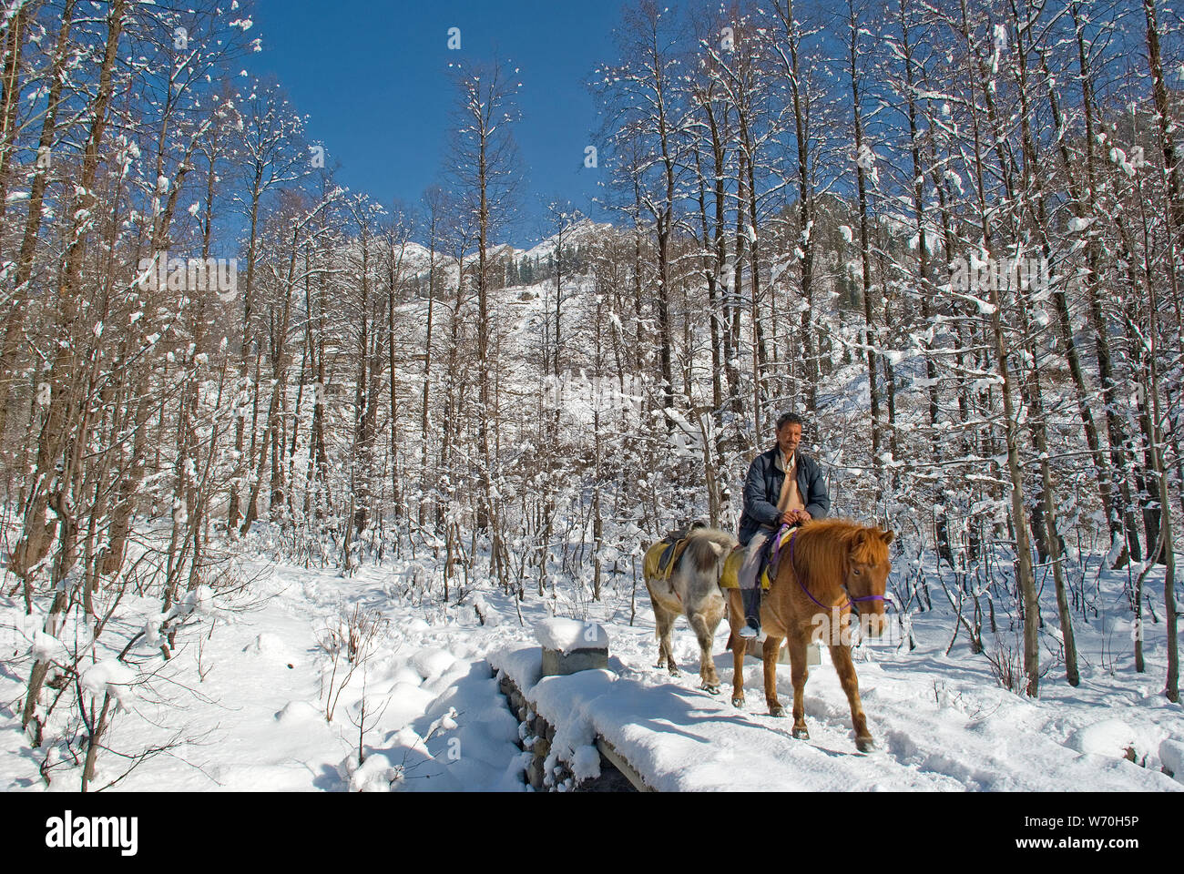 Solang Valley in Winter, Manali, Himachal Pradesh, India Stock Photo