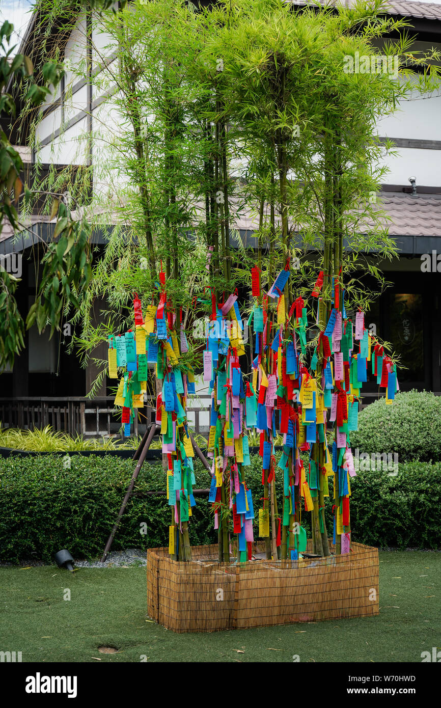 hangs coloured paper strips (Tanzaku) on bamboo branches, for good