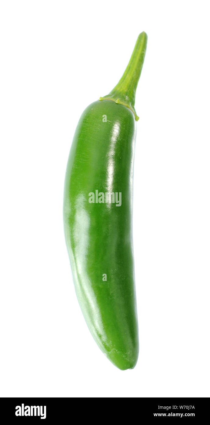 an organic serrano pepper isolated on white Stock Photo