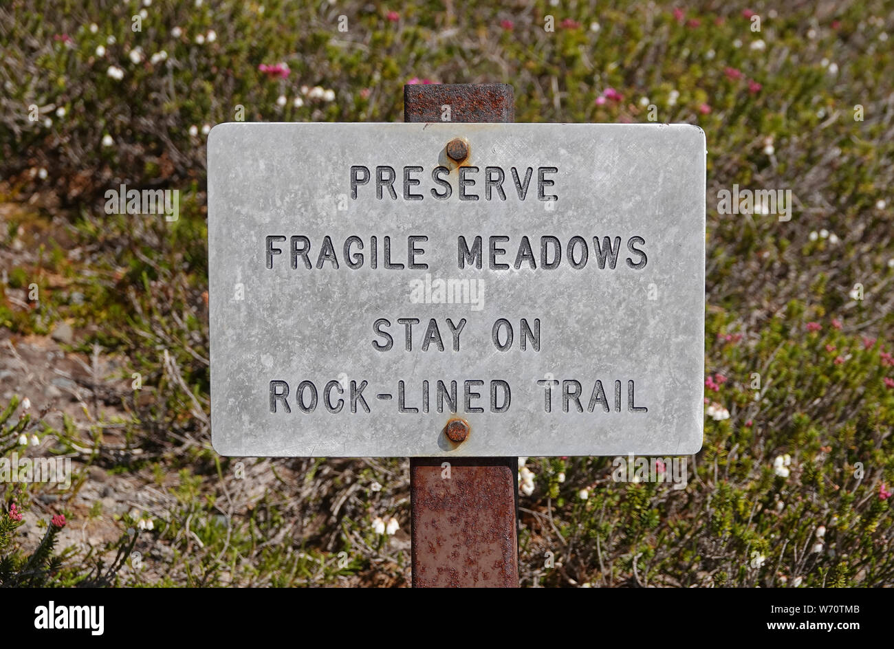 Sign 'Preserve fragile meadows. Stay on rock-lined trail' in Mount Rainier National Park, WA, USA Stock Photo