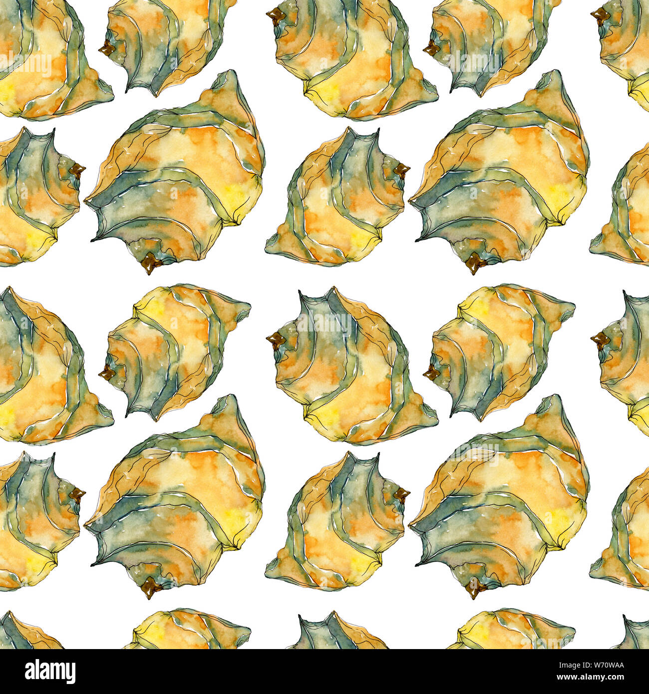 Summer beach seashell tropical elements. Watercolor illustration set ...