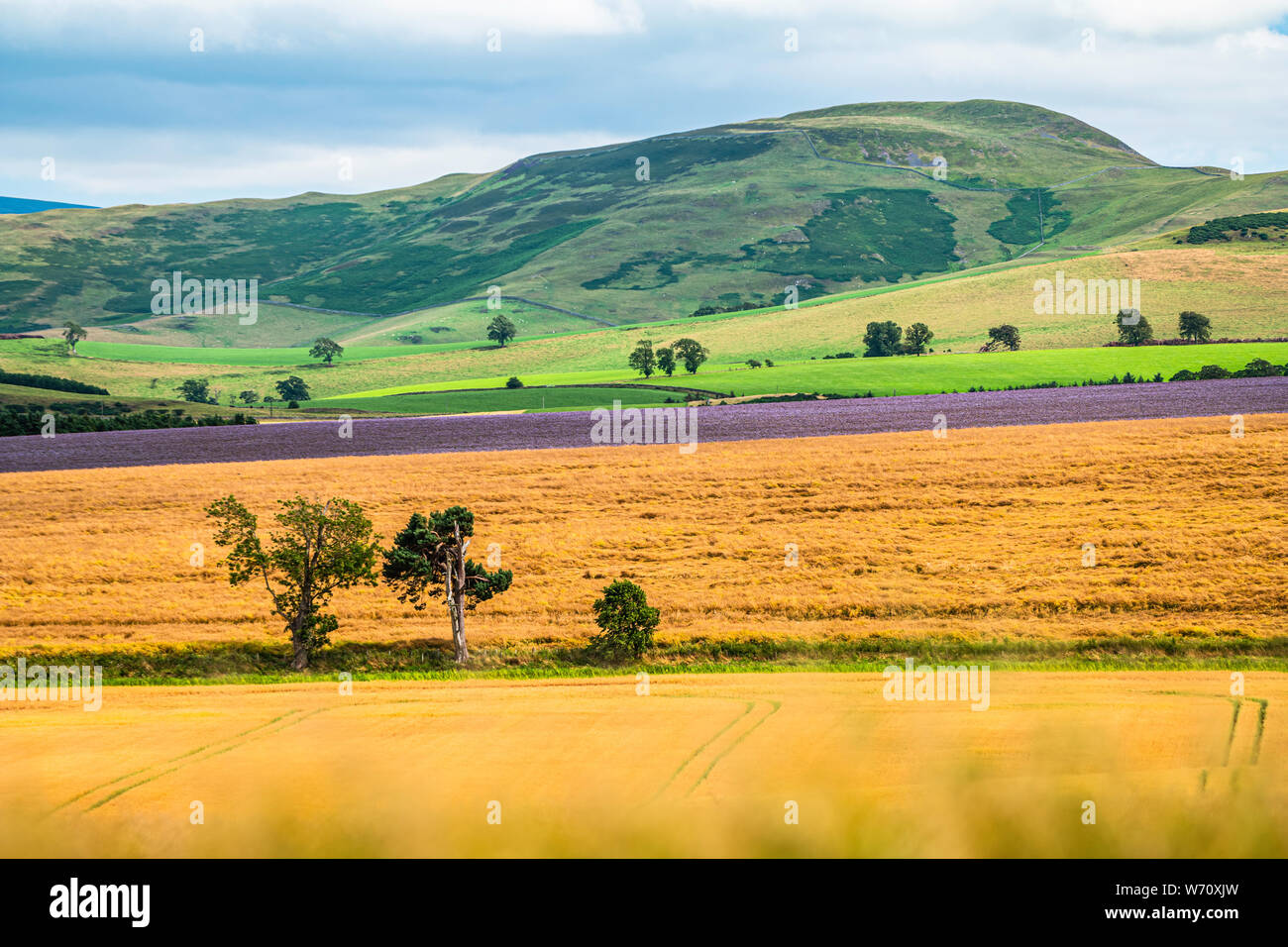 Cessford, Kelso, Scottish Borders, UK. 24th July 2019. Looking south east from the ruins of Cessford Castle in the Scottish Borders. Cessford was on t Stock Photo