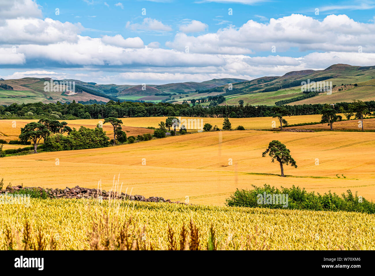 Cessford, Kelso, Scottish Borders, UK. 24th July 2019. Looking south east from the ruins of Cessford Castle towards Yetholm in the Cheviot Hills and t Stock Photo