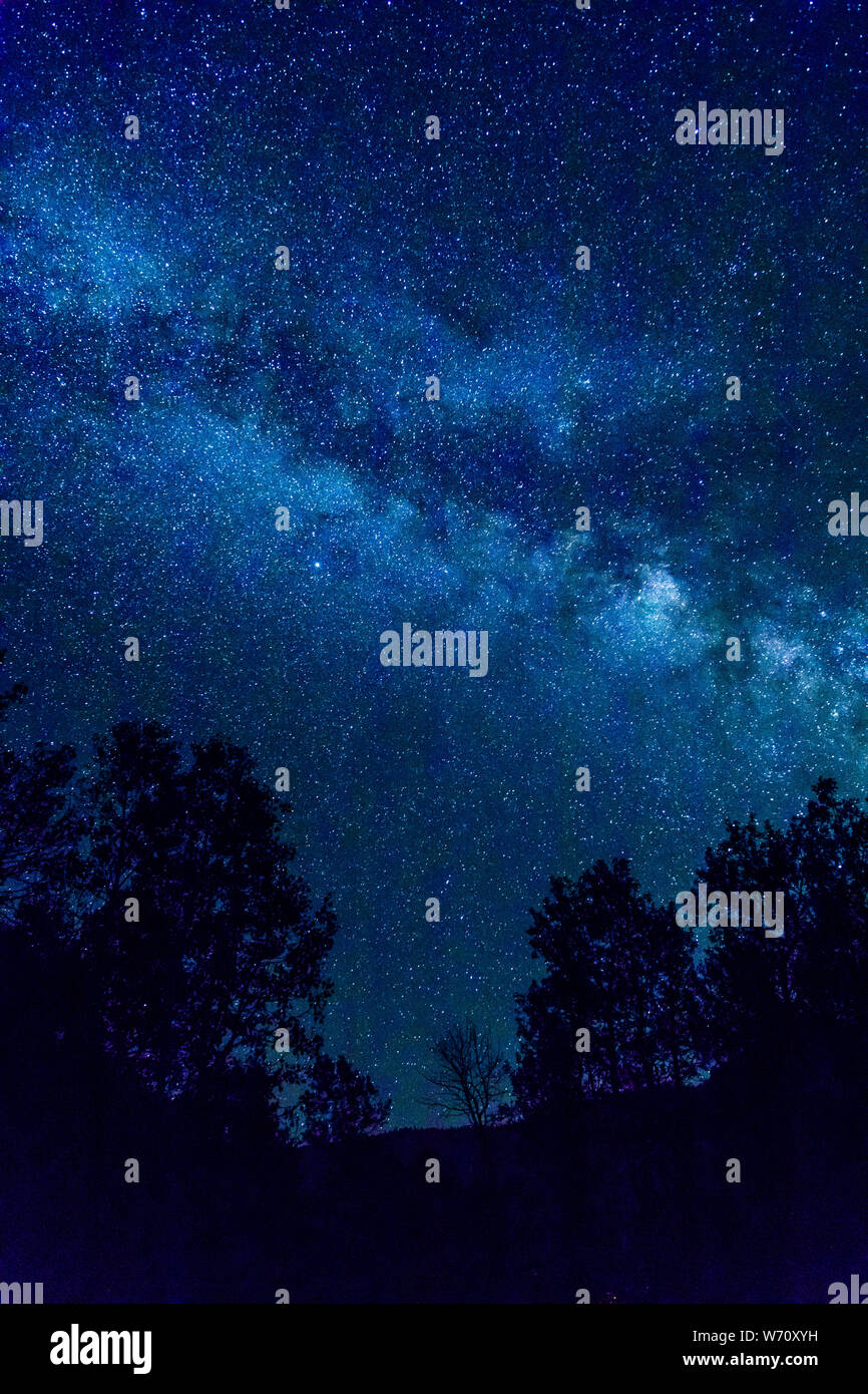 starry night with milky way, mountains, and trees Stock Photo - Alamy