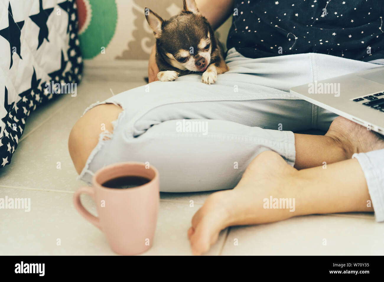 Home dog sitting on the lap of his owner Stock Photo