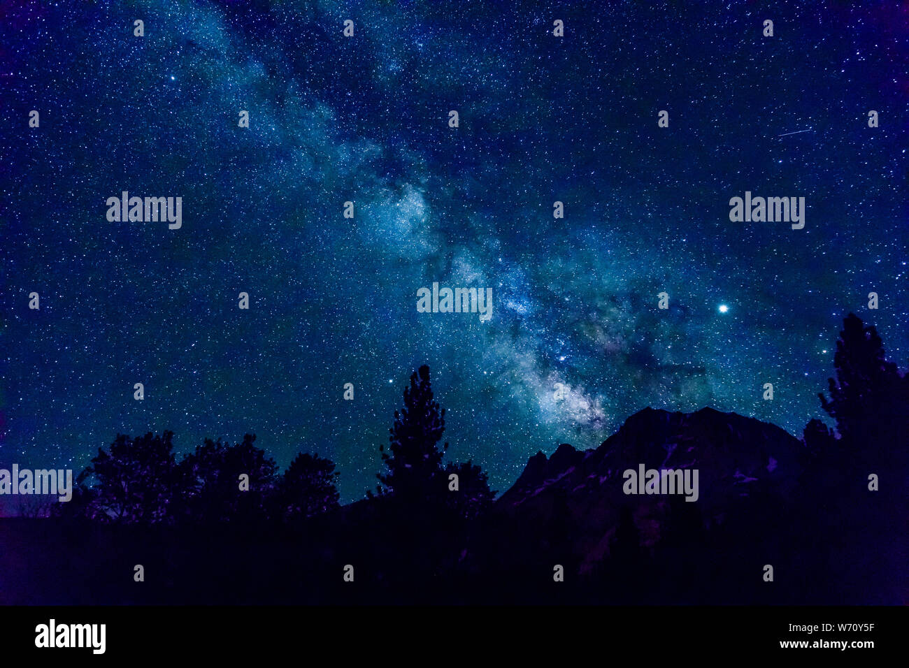 starry night with milky way, mountains, and trees Stock Photo - Alamy